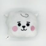 BTS- RJ, Jin