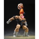 (PRE-VENTA) Figura Dragon Ball Z Figura S.H.Figuarts Recoome 20 cm - Imagen 6